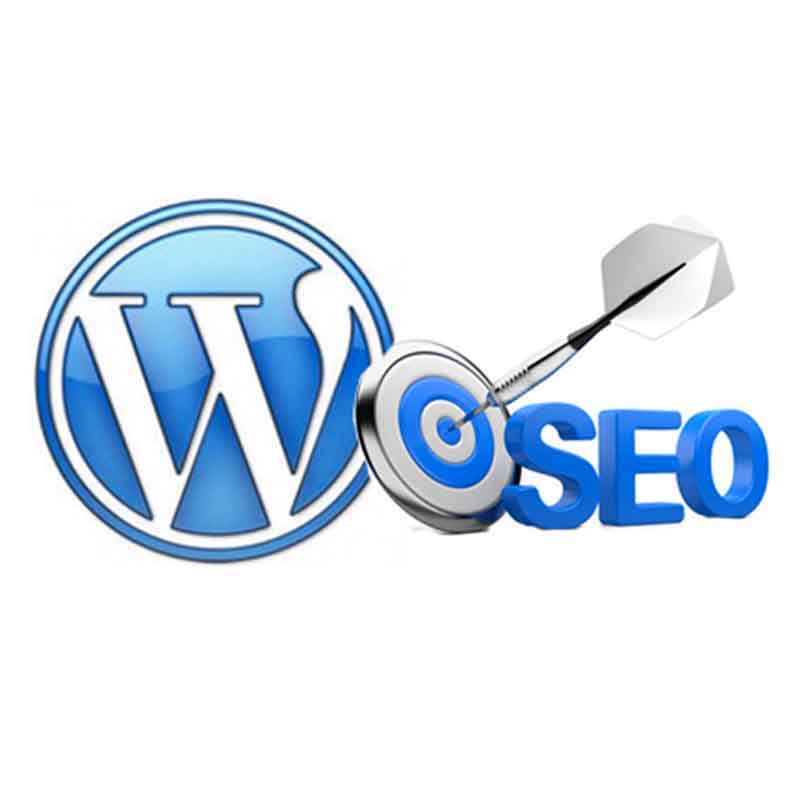 SEO - Wordpress Tune-Up - Web Pro NJ