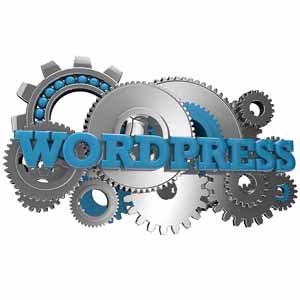 Wordpress Tune Up - Web Pro NJ
