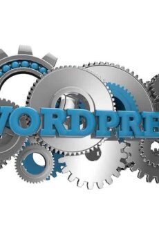 Wordpress Website Tune Up - Web Pro NJ