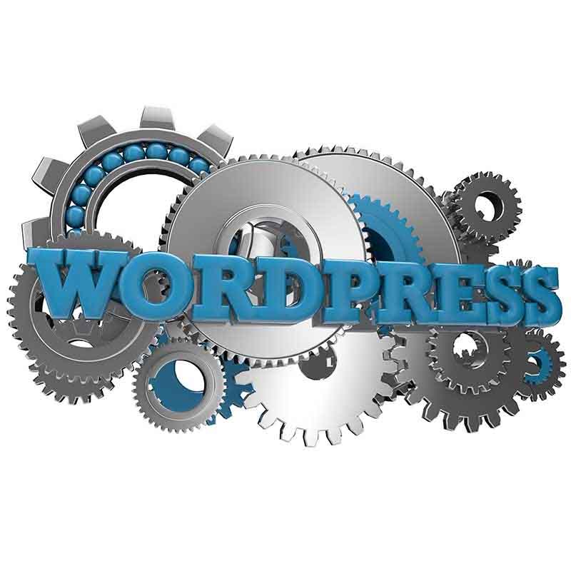 Wordpress Website Tune Up - Web Pro NJ