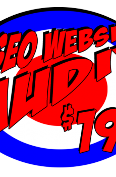 SEO Website Audit - Web Pro NJ