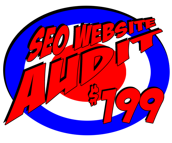 SEO Website Audit - Web Pro NJ