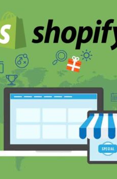 Build Shopify Store - Web Pro NJ