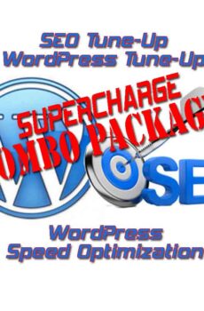 Get WordPress Speed Optimization